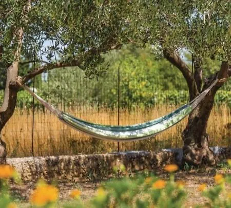 Olive Tree House With Jacuzzi, Wifi And 40m2 Pool Vila *