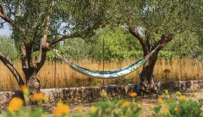 Olive Tree House With Jacuzzi, Wifi And 40m2 Pool וילה *